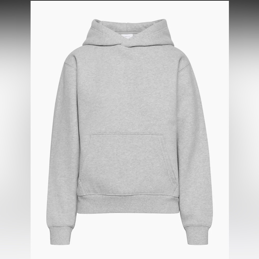 Aritzia TNA Perfect Fleece Hoodie